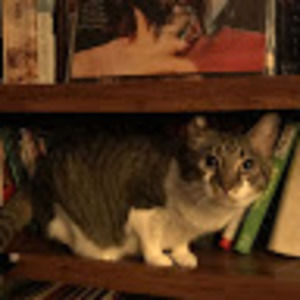 Meet your Posher, Rikki